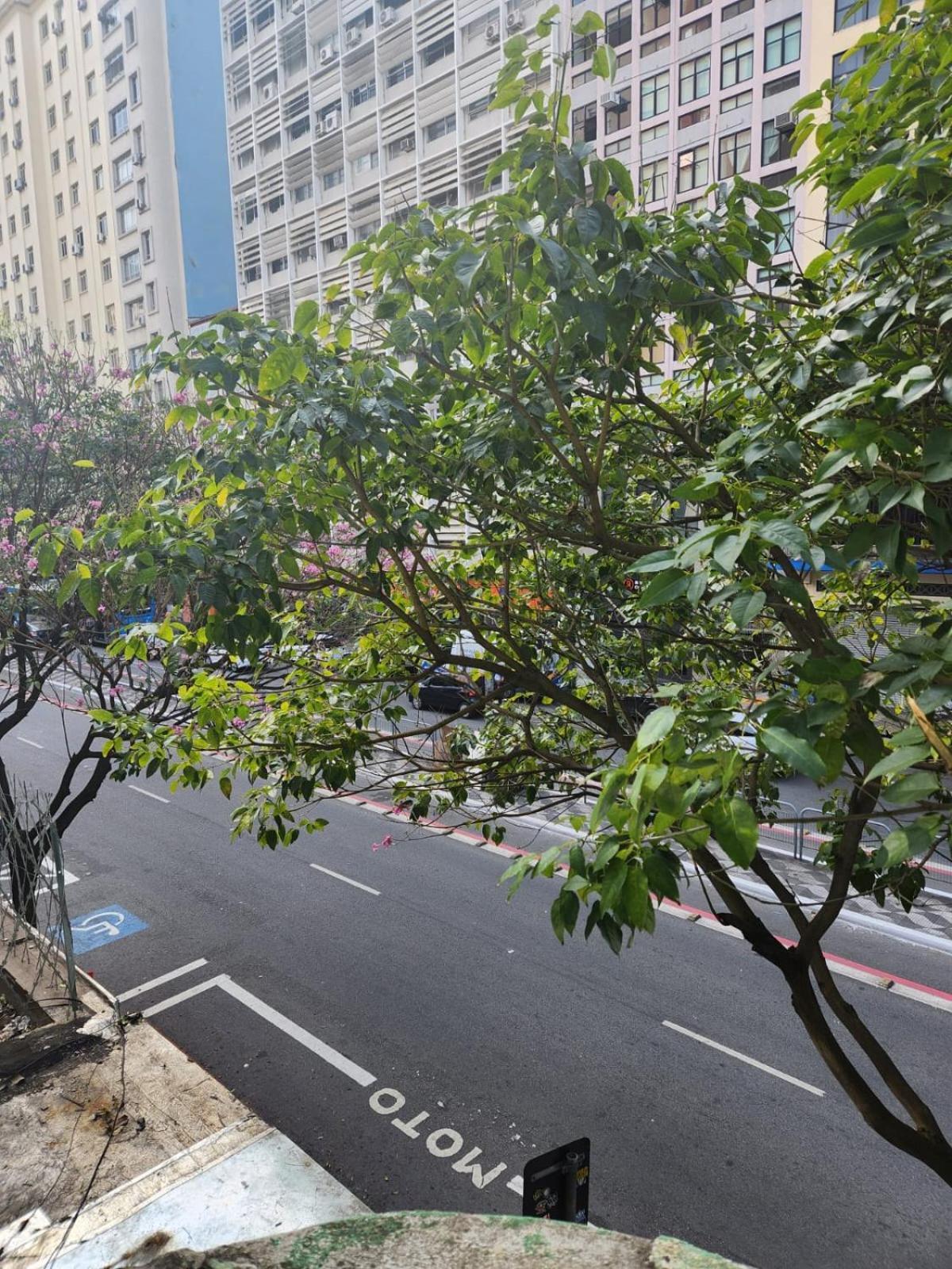Fujima Hostel São Paulo Exteriör bild